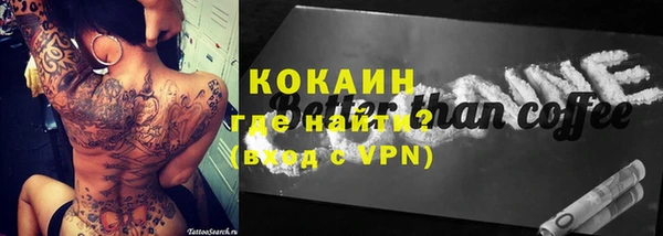 шишки Вяземский