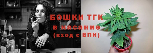 ГАЛЛЮЦИНОГЕННЫЕ ГРИБЫ Верхний Тагил