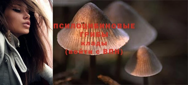 прущая мука Верея