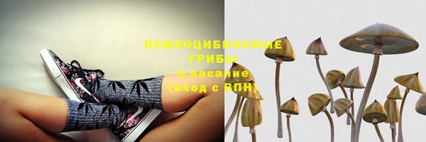 ГАЛЛЮЦИНОГЕННЫЕ ГРИБЫ Верхний Тагил