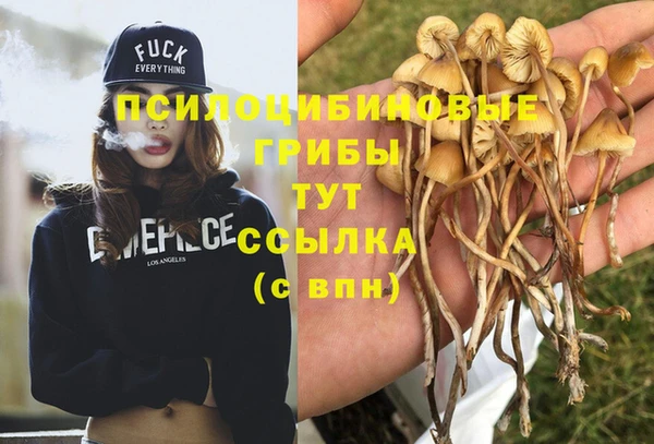 прущая мука Волоколамск