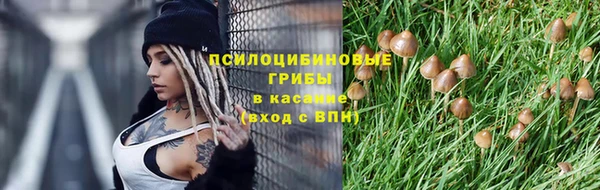 спиды Вязьма